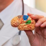 O Comportamento Humano na Logística: Como a Neurologística Pode Redefinir os Processos